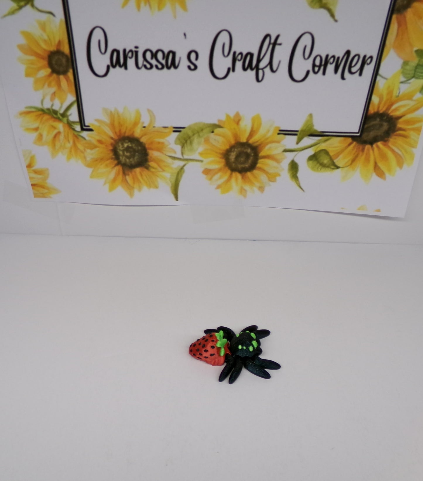 Seasonal Spider Cover Minders