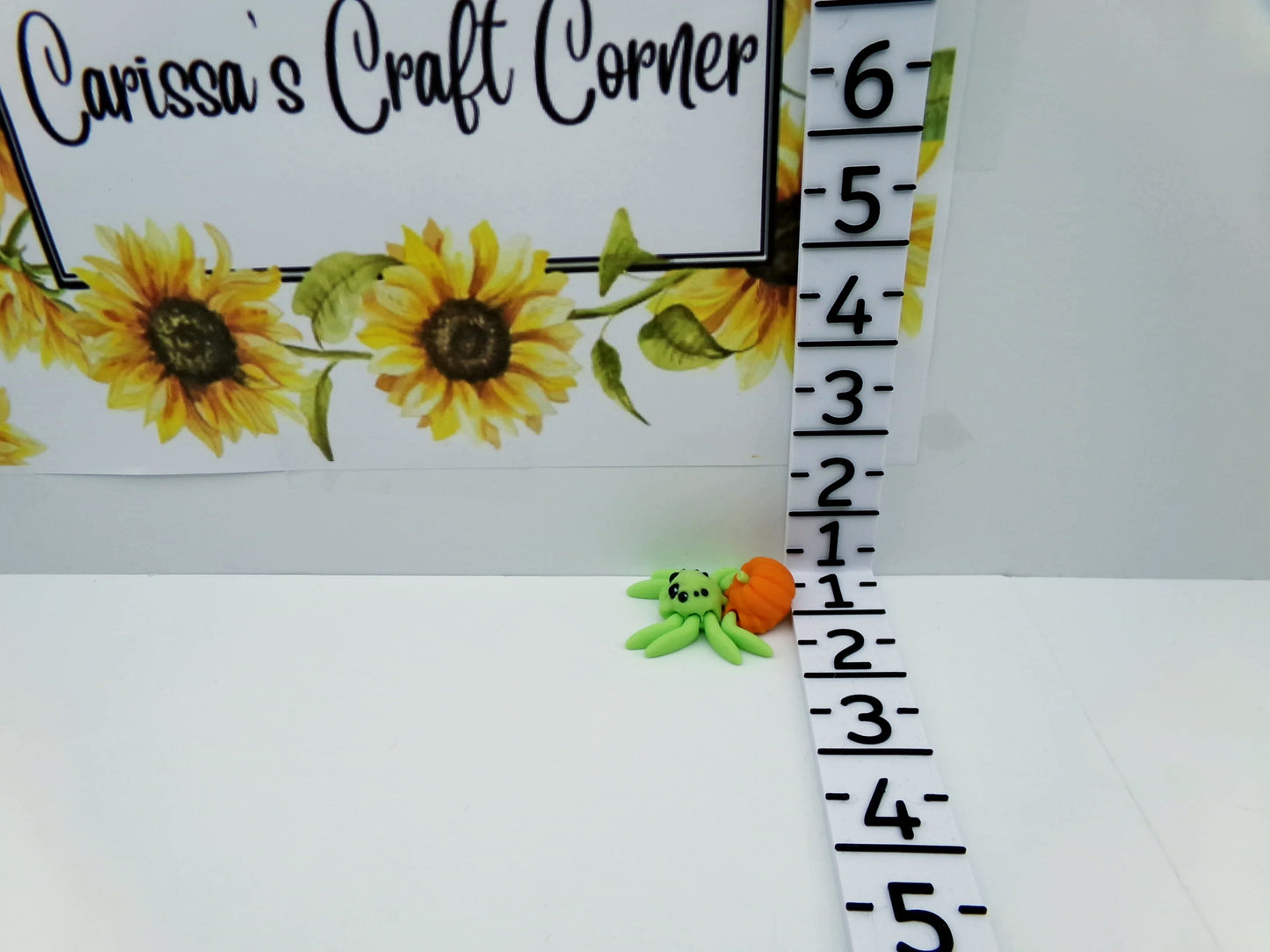 Seasonal Spider Cover Minders