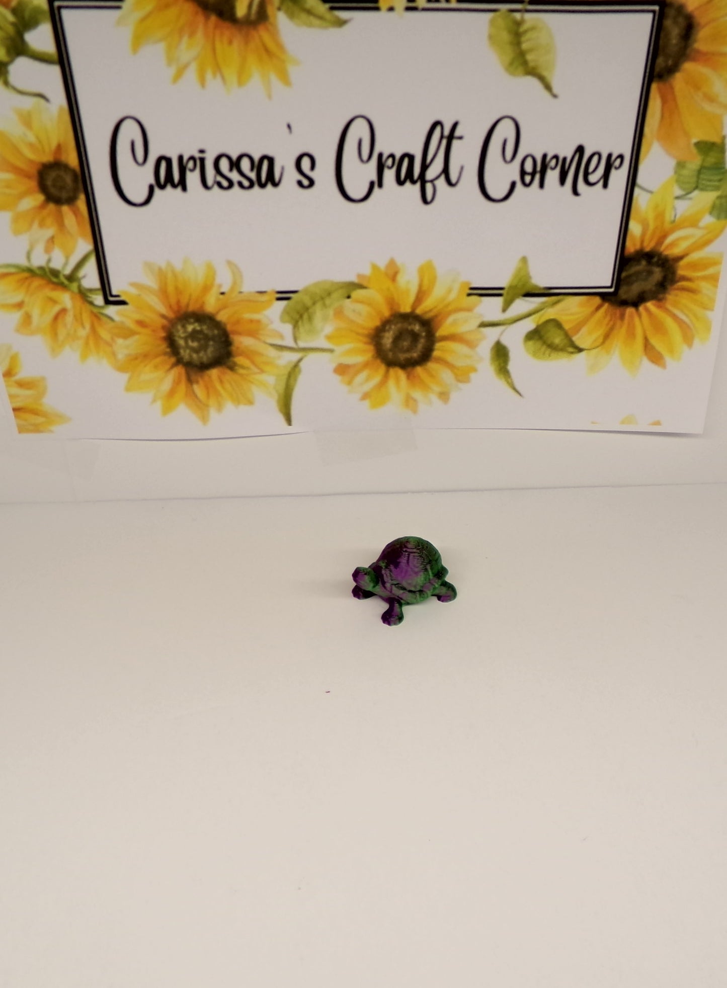 Turtle Cover Minders