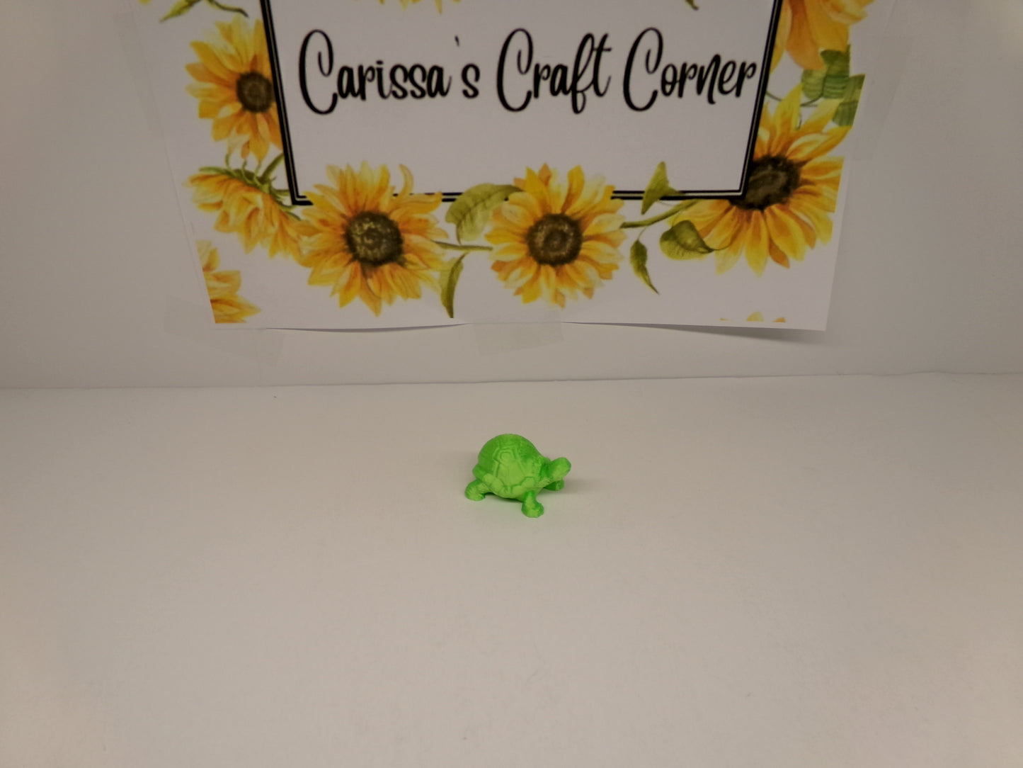 Turtle Cover Minders