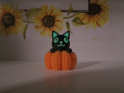 Crocheted Cat In Pumpkin cover Minder