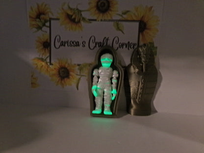 Mummy and Sarcophagus
