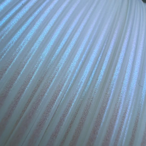 3D Printed Trinket Tray Holder