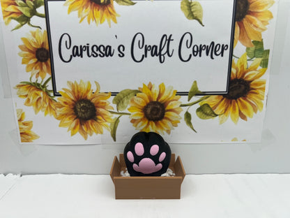 Cat Paw in Box Treasure Quest Card Holder