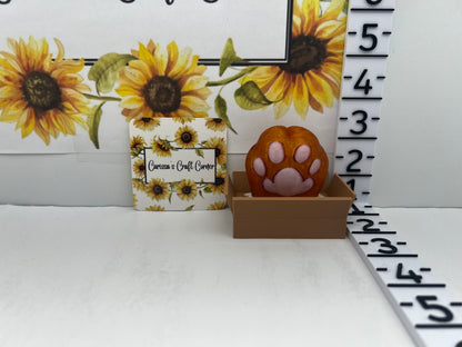 Cat Paw in Box Treasure Quest Card Holder
