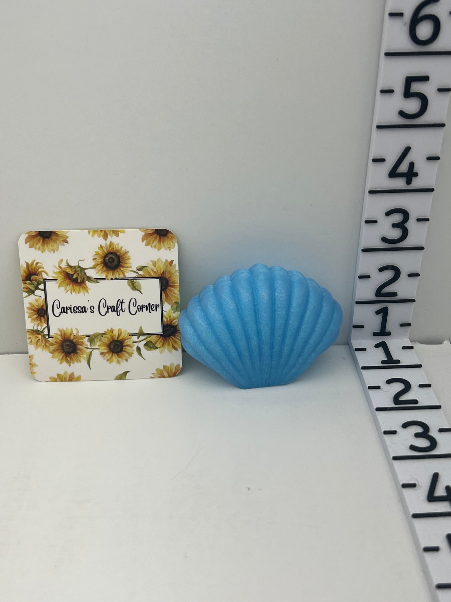 Sea Shell Treasure Quest Card Holder