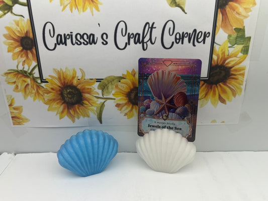 Sea Shell Treasure Quest Card Holder