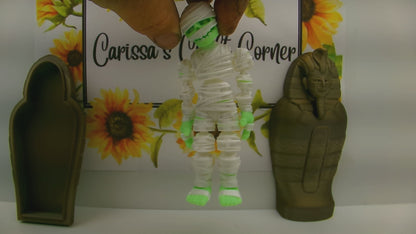 Mummy and Sarcophagus